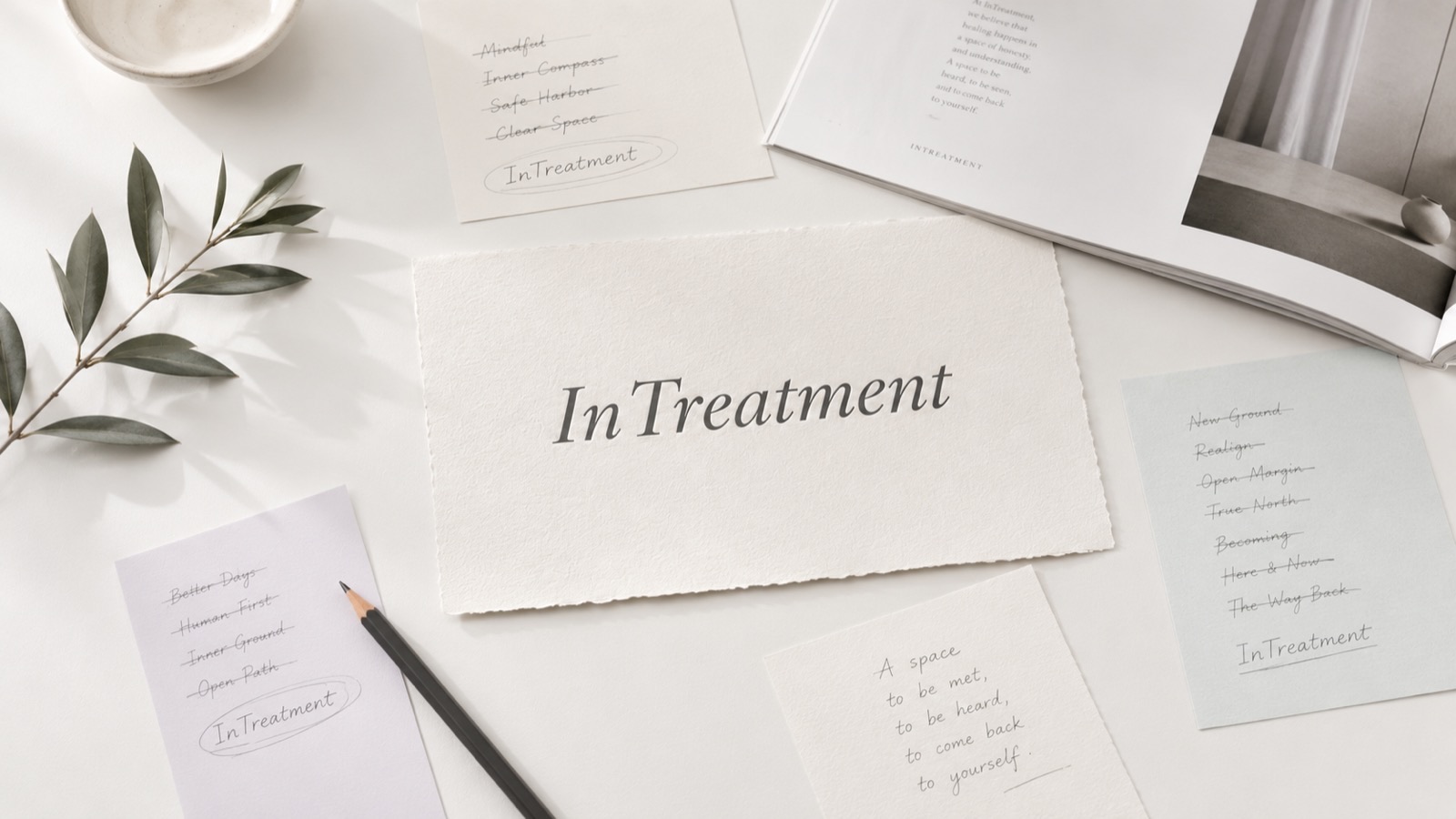 Почему проект называется InTreatment